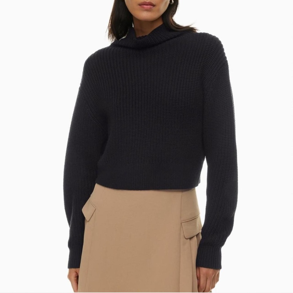 Aritzia Montpellier Merino Wool Waist Turtleneck